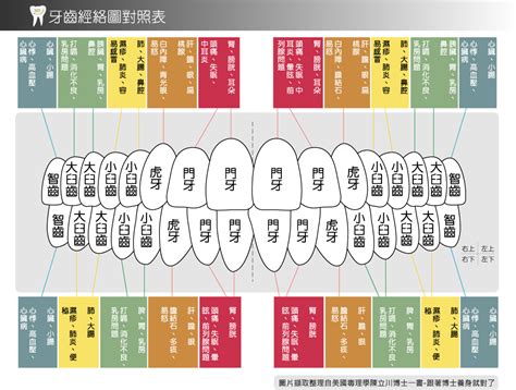 牙齒經絡圖|古書記載辨證奇聞：牙齒和經絡及其對全身之影響！